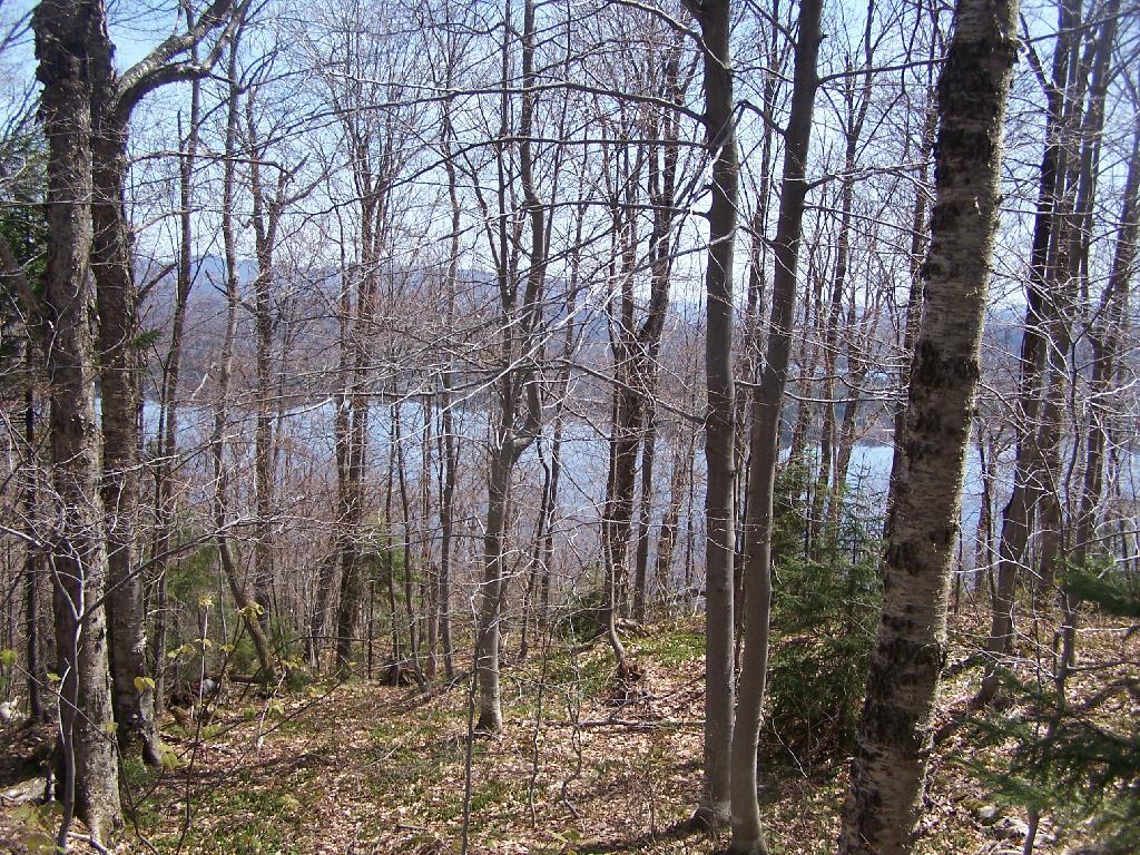 Photo: Trail on Echo Cliffs