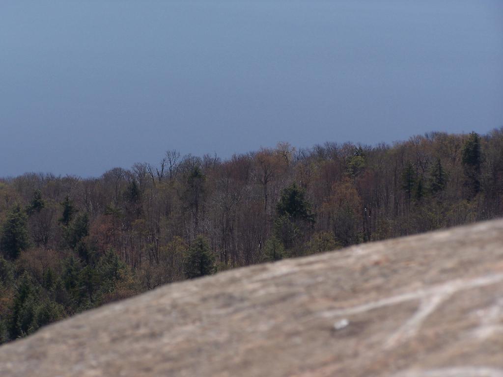 Photo: Edge of Lake