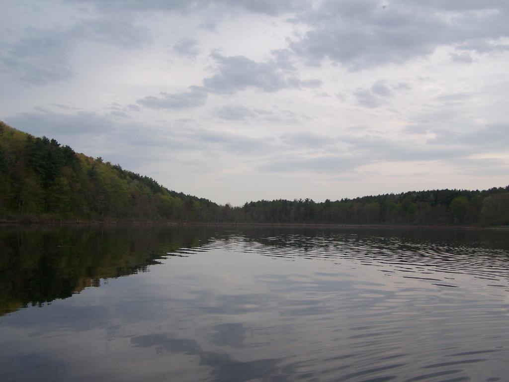 Photo: The Lake in Evening Photo: The Lake in Evening