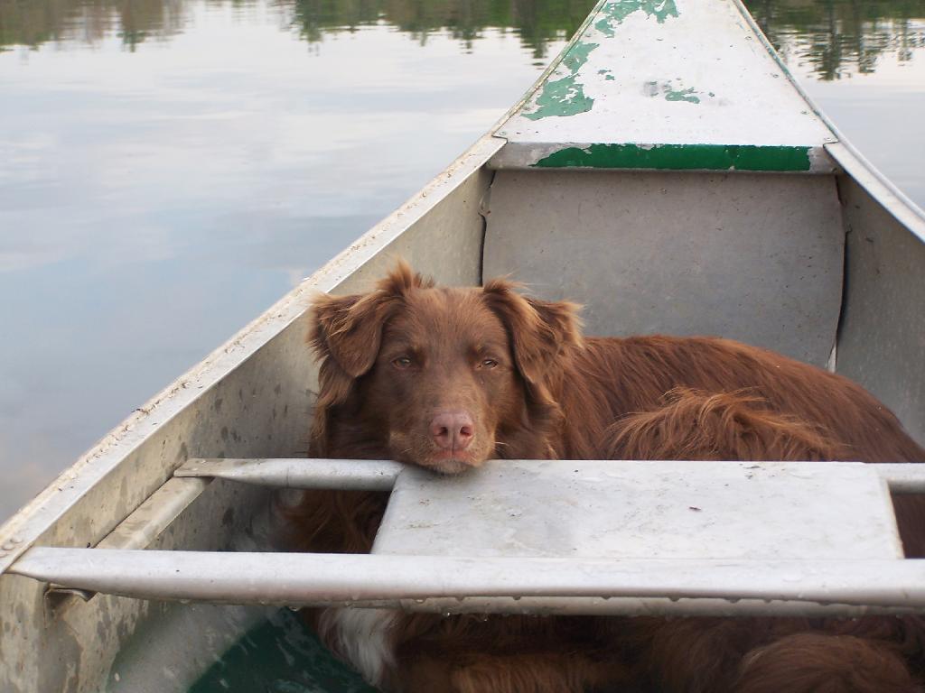 Photo: Sleeping on the Job