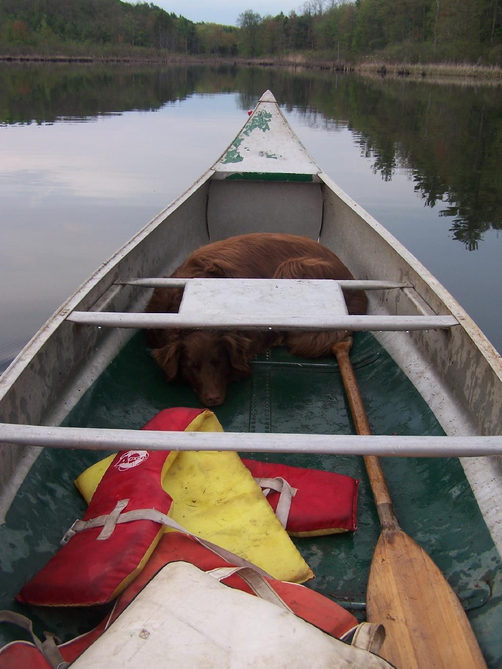 Photo: Sleeping on the Job Photo: Sleeping on the Job
