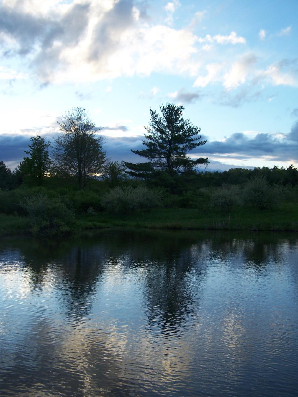 Photo: Reflections