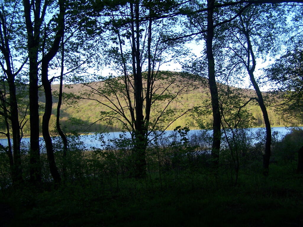 Photo: View from Campsite in Evening Photo: View from Campsite in Evening