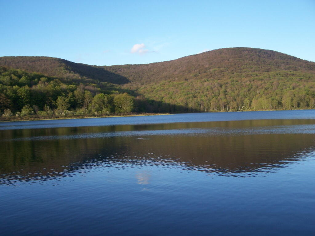 Photo: Reflection of Mill Brook Range into Alder Pond