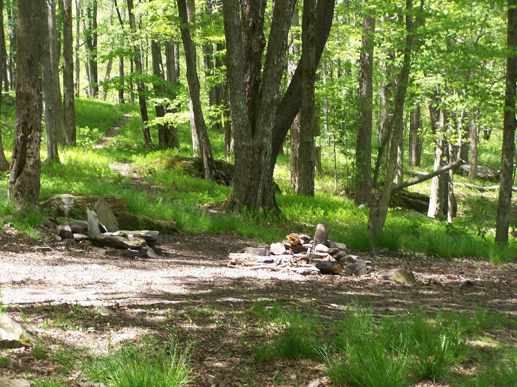 Photo: Primative Campsite 1
