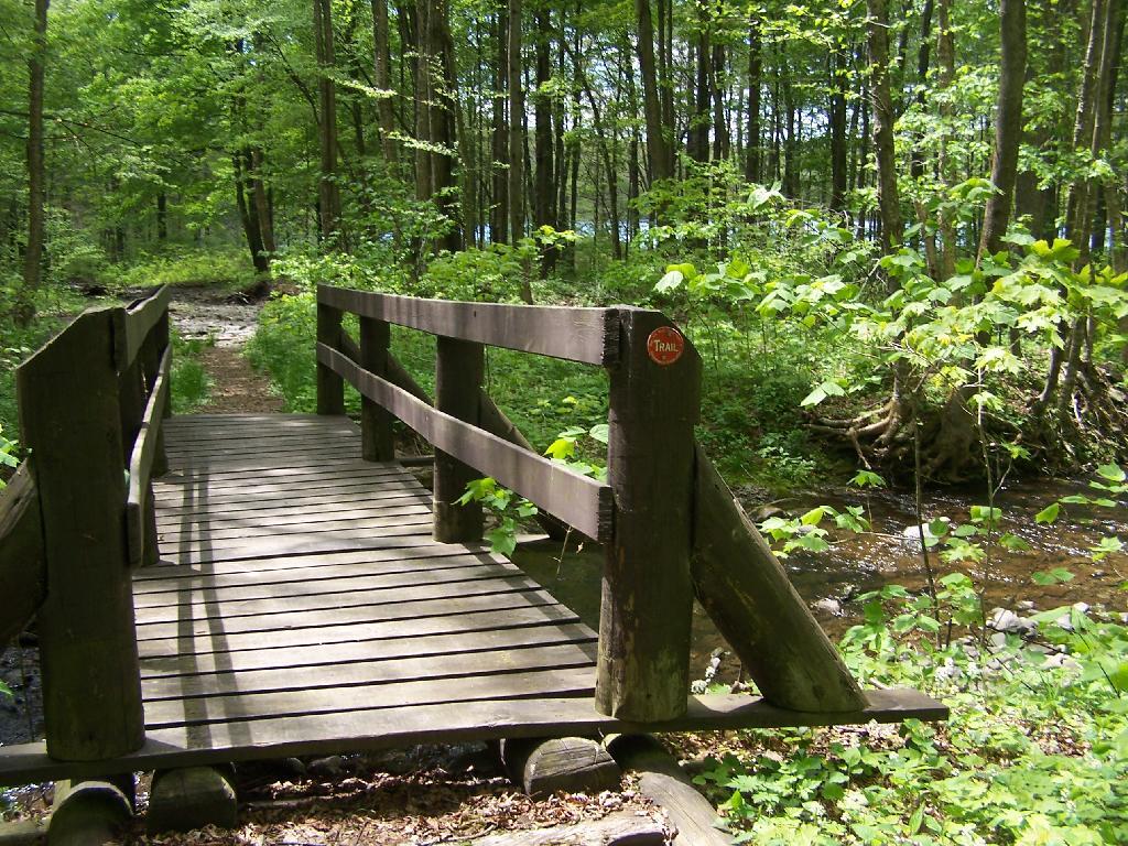 Photo: Bridge on Trail Around Alder Lake