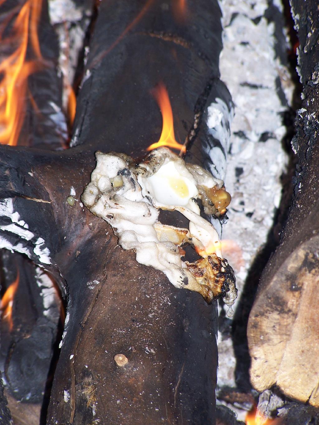 Photo: Letting the Fire Do the Dishes For Me
