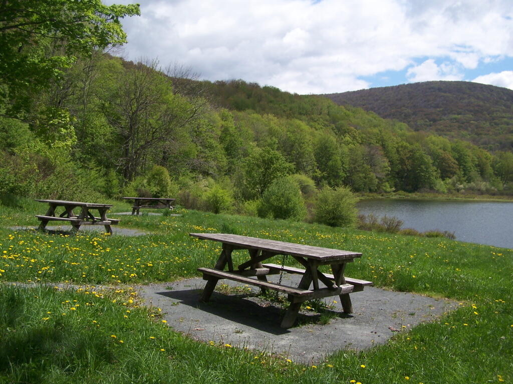 Photo: Picnic Area at Alder Lake