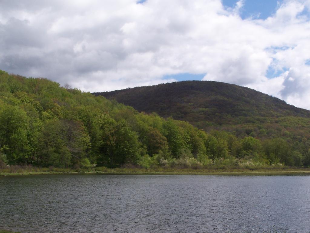Photo: Alder Lake
