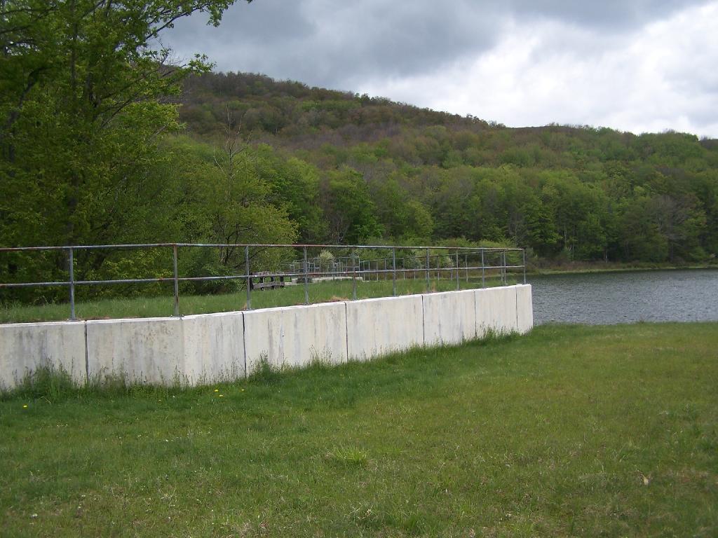 Photo: Alder Lake Dam