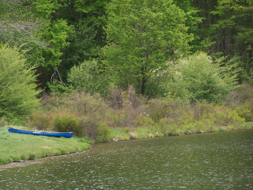 Photo: Canoe