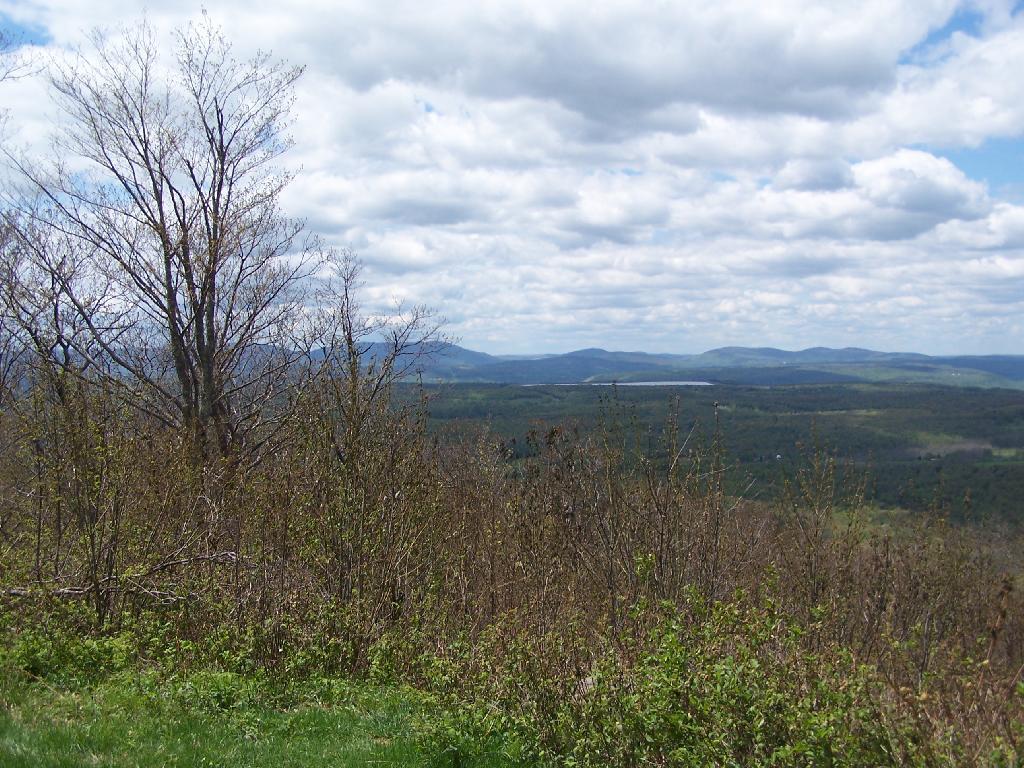 Photo: Springtime View