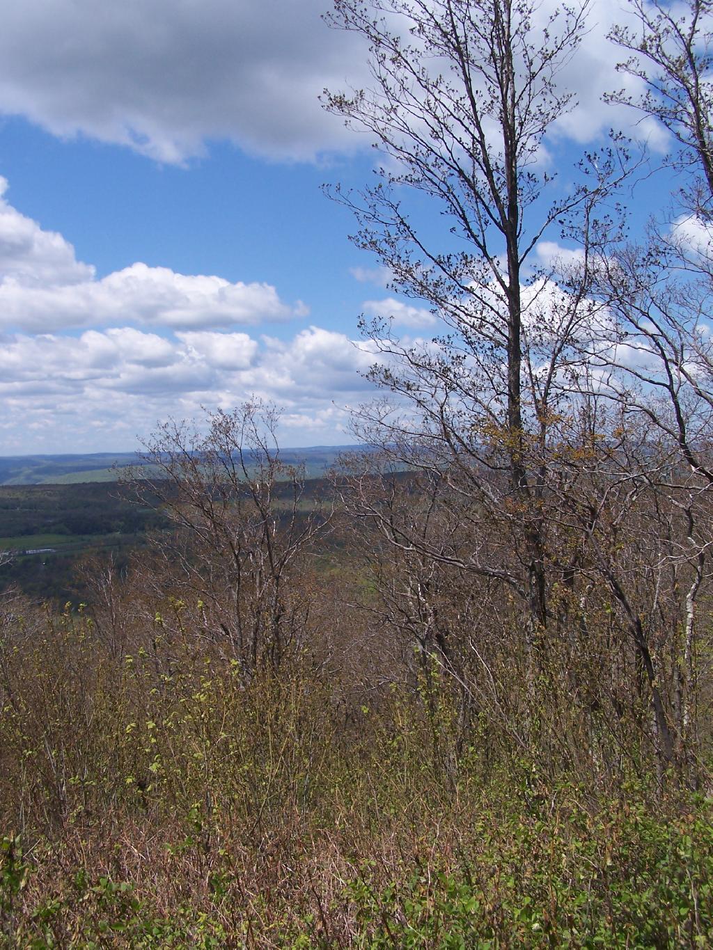Photo: Still Early Spring Up Here in the Mountains
