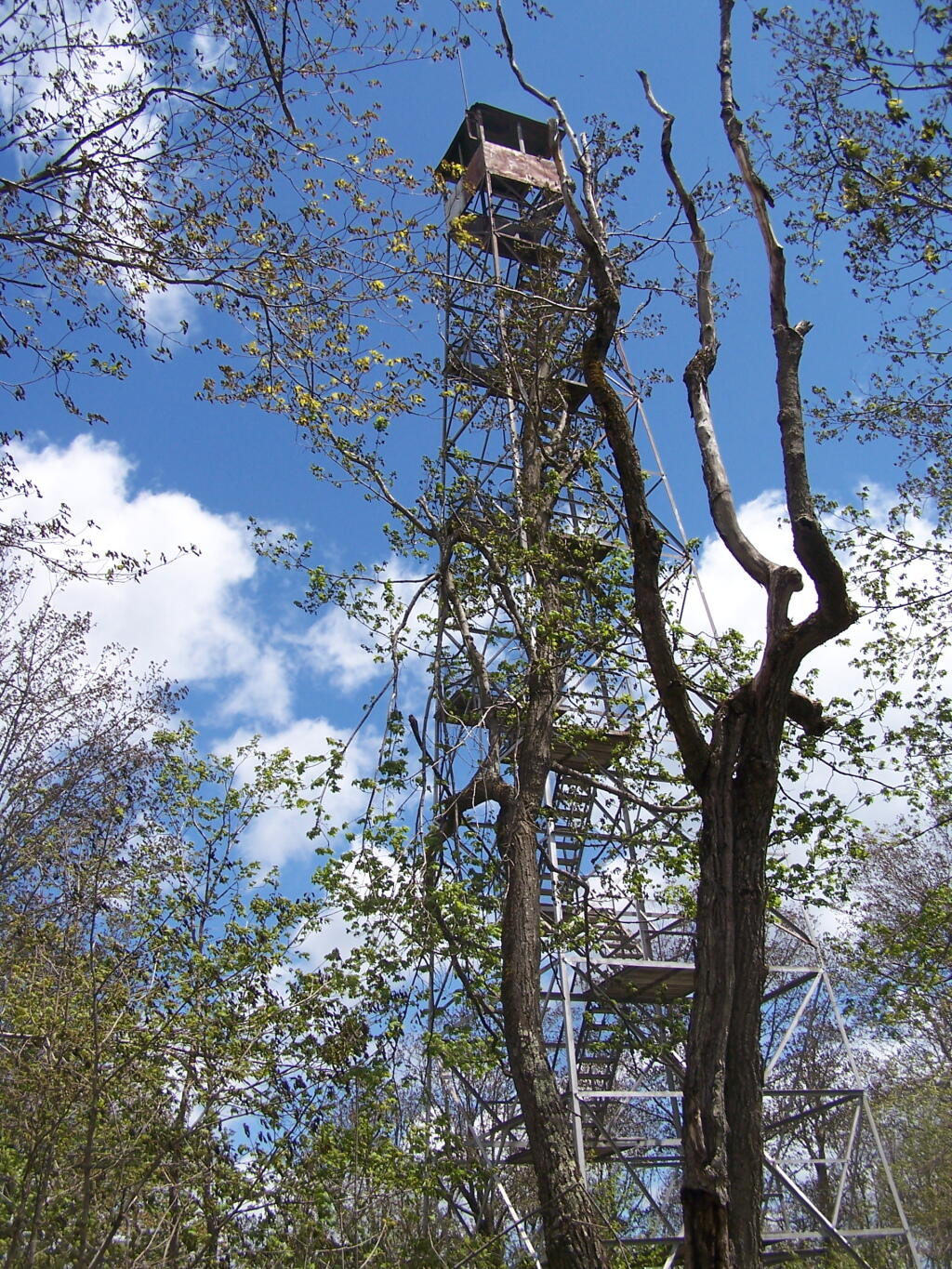 Photo: The Fire Tower