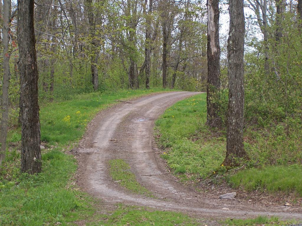 Photo: Truck Trail Photo: Truck Trail