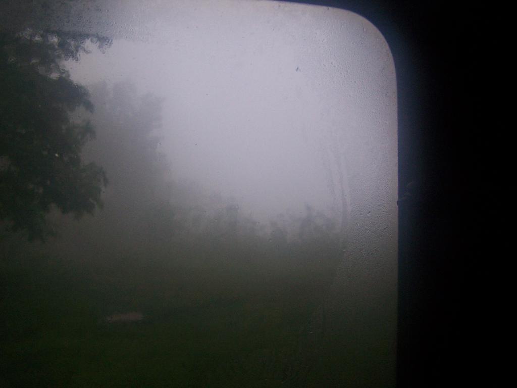 Photo: First View This Morning