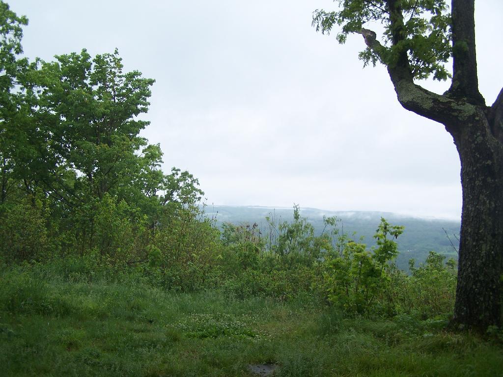 Photo: Not Much of a View in the Rain