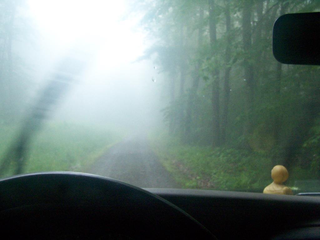 Photo: Driving Down Truck Trail in Heavy Fog