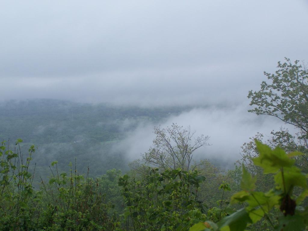 Photo: Fog in the Valley