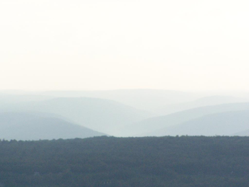 Photo: Rossman Hills in the Fog Photo: Rossman Hills in the Fog