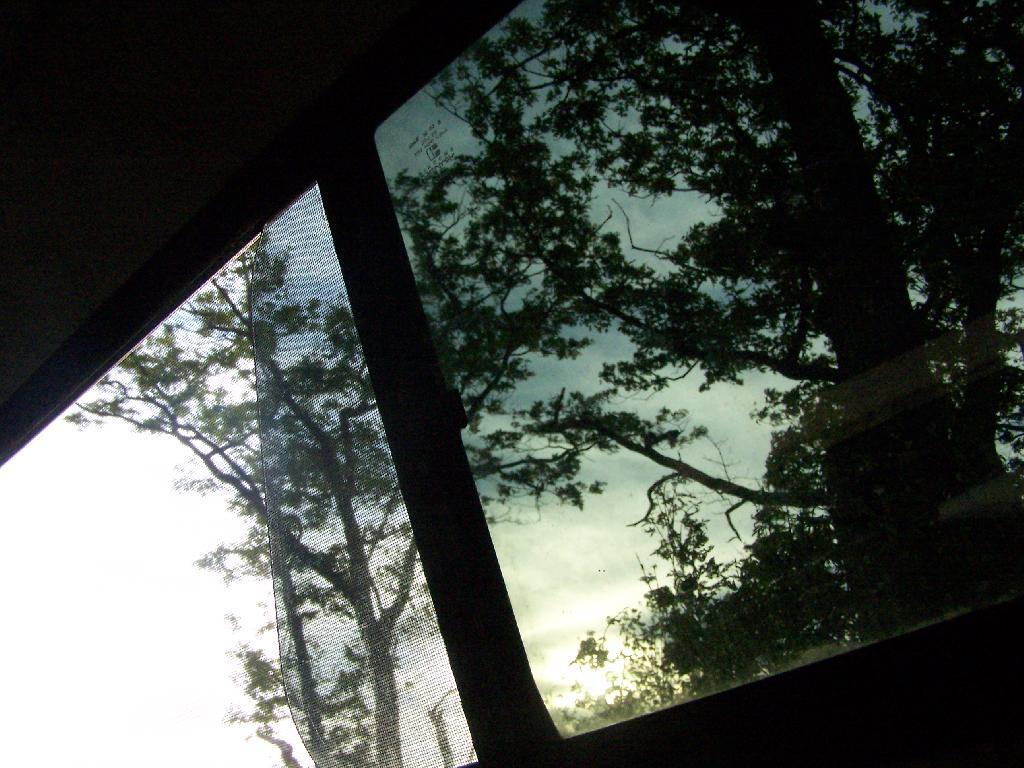 Photo: Through the Truck Cap Window
