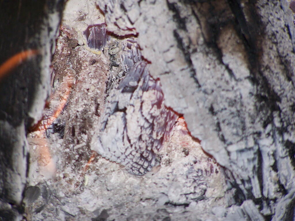 Photo: Ashes