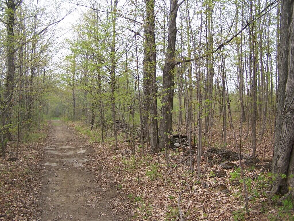 Photo: Trail