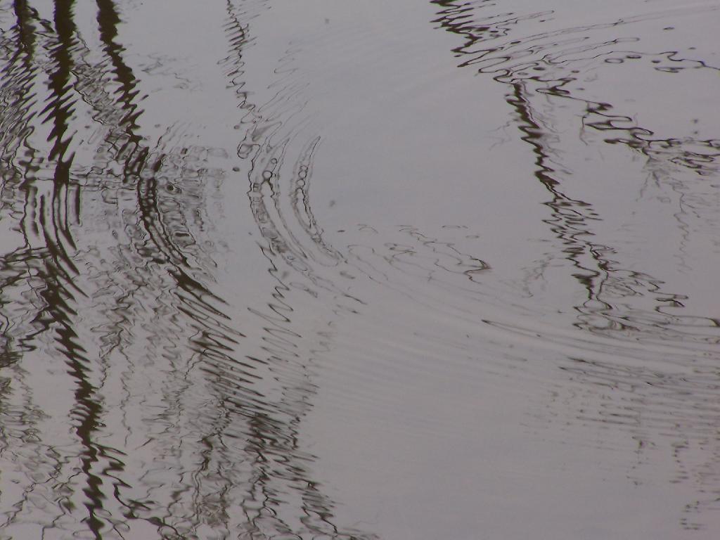 Photo: Water Photo: Water