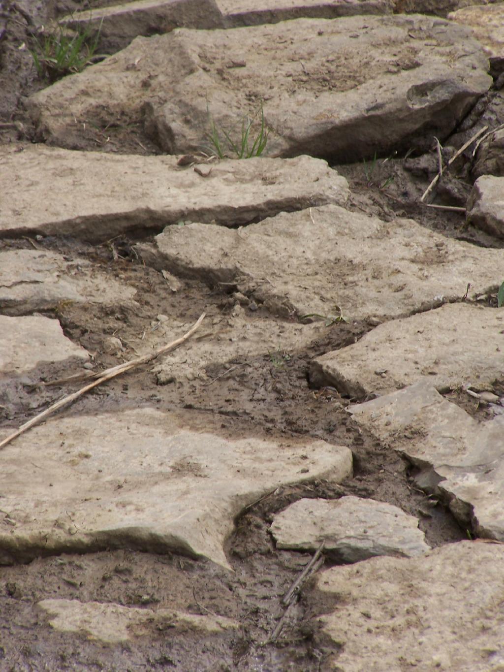 Photo: Mud Photo: Mud