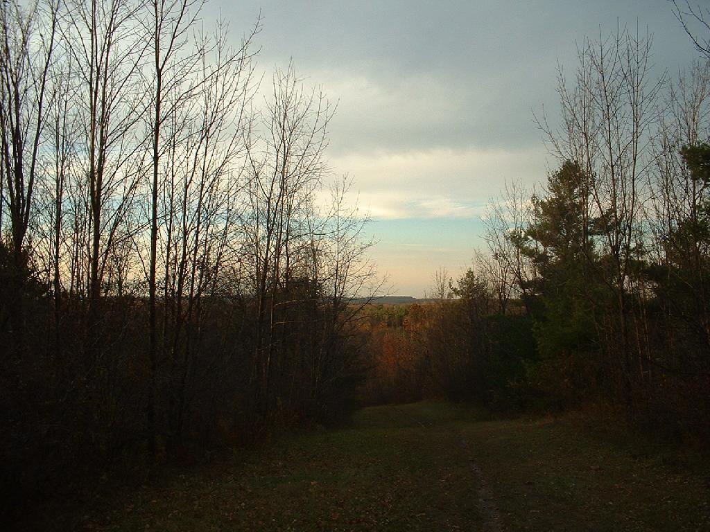 Photo: Sledding Hill