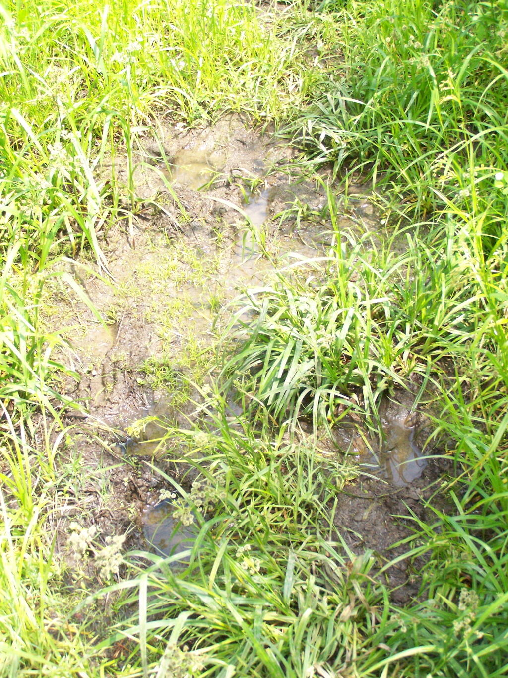 Photo: Mud Photo: Mud