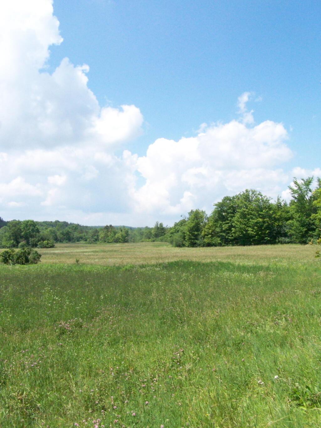 Photo: Hay Field