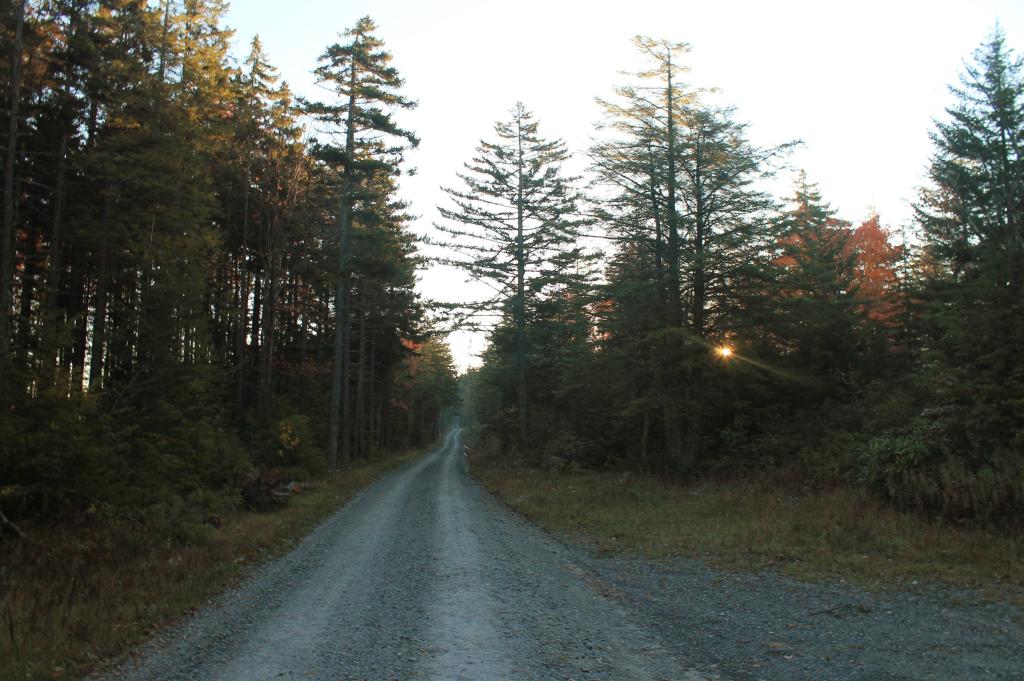 Photo: Morning in Canaan Heights Photo: Morning in Canaan Heights