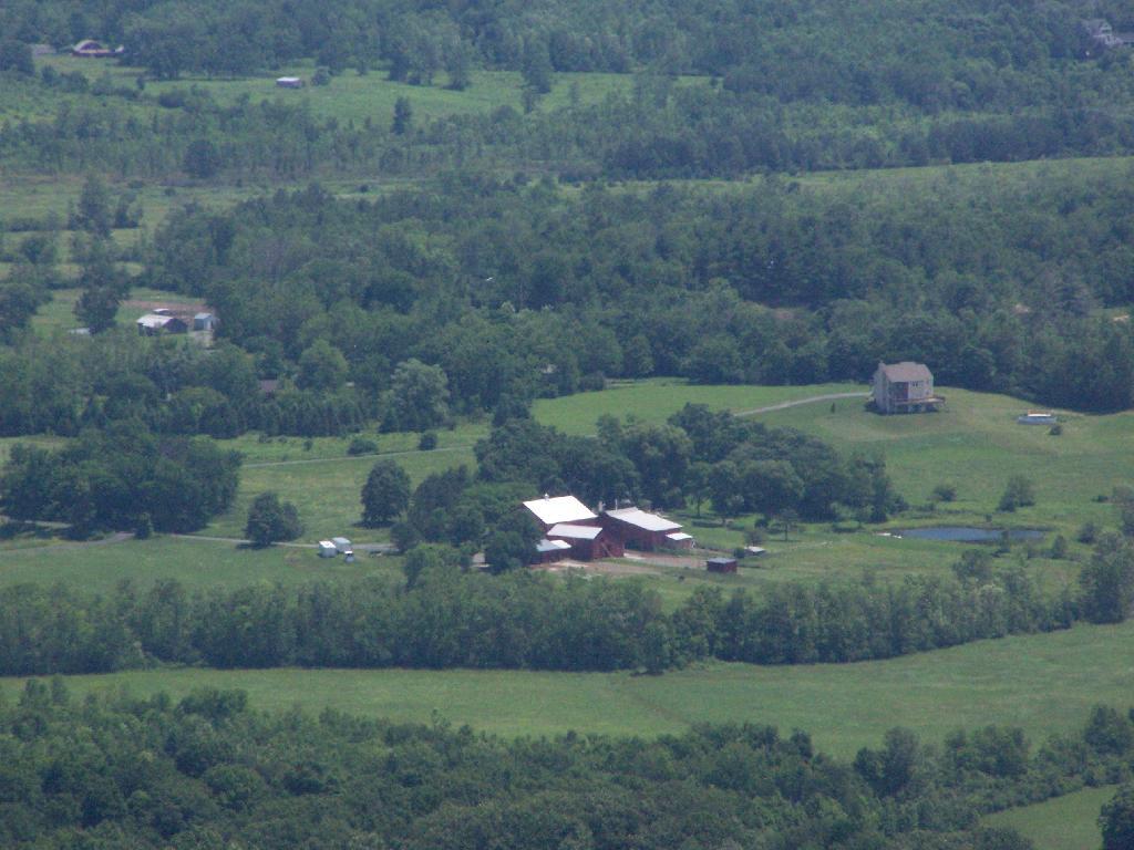 Photo: Farm in Altamont Photo: Farm in Altamont