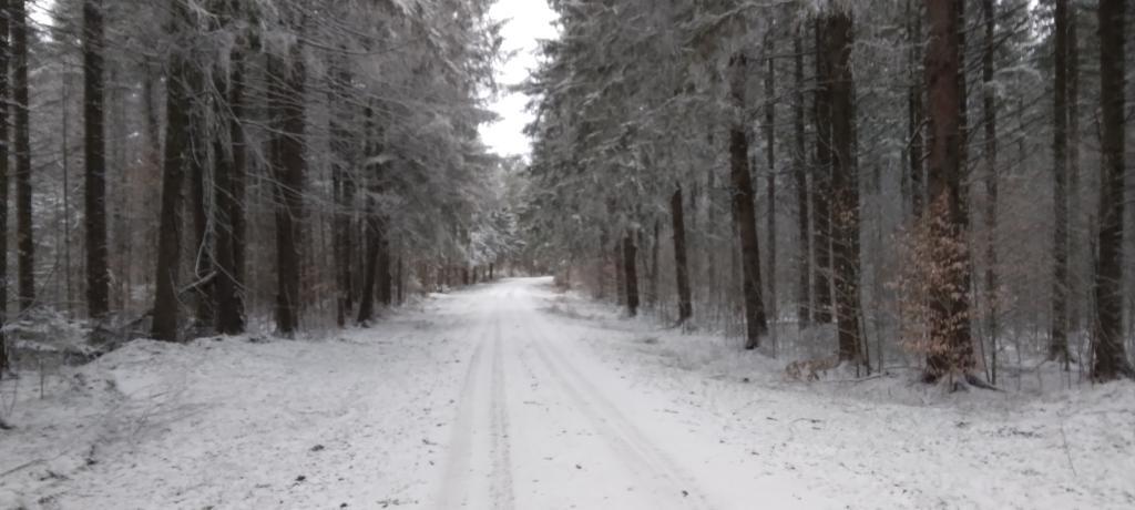 Photo: Truck Trail 3