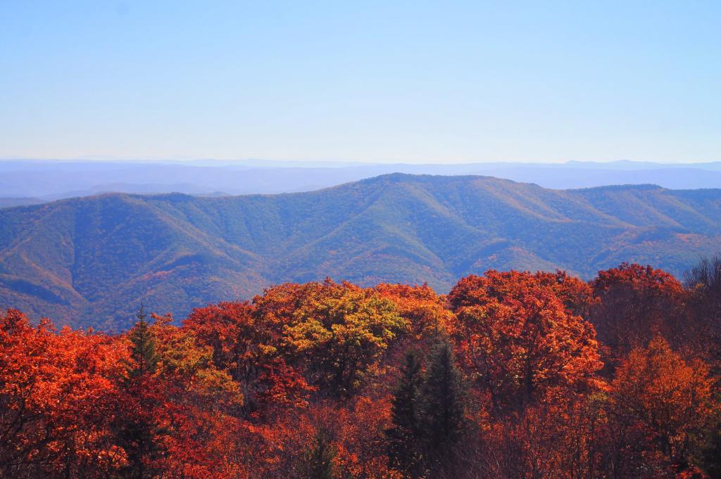 Photo: North Fork Mountain from Dolly Sods