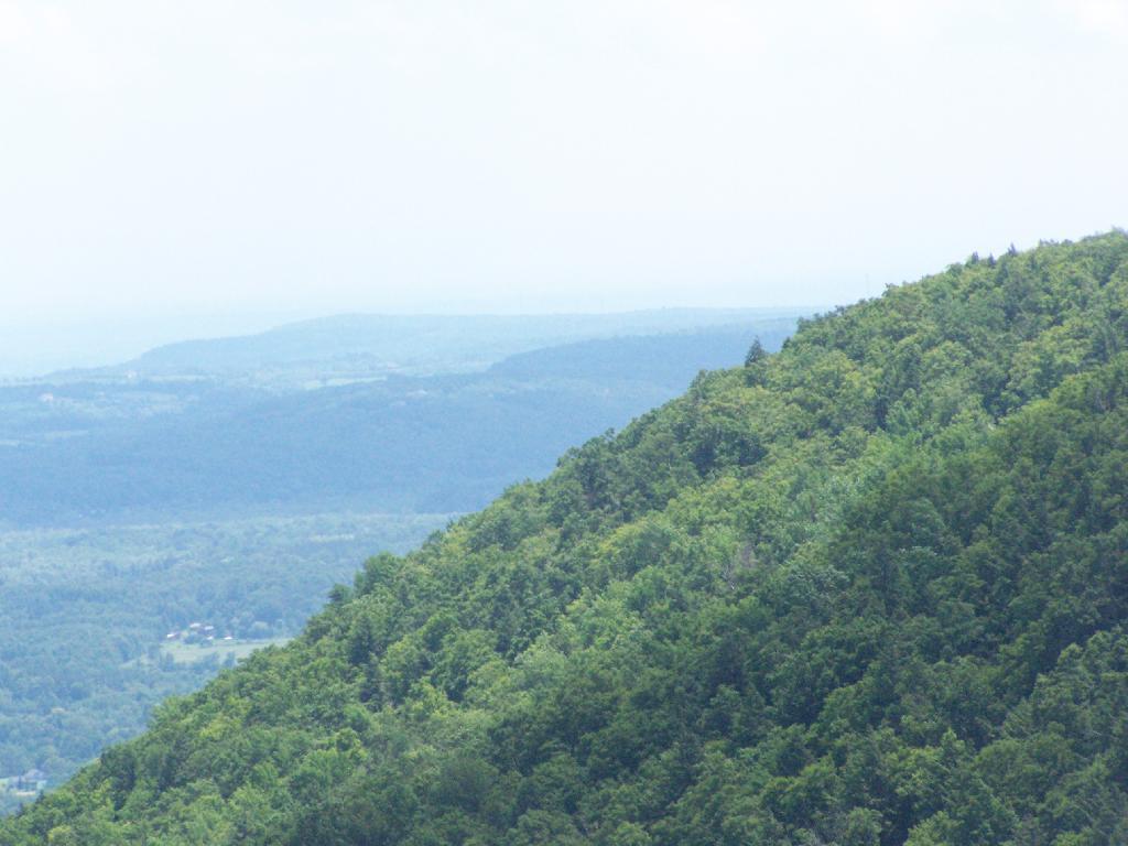 Photo: Edge of Escarpment Photo: Edge of Escarpment