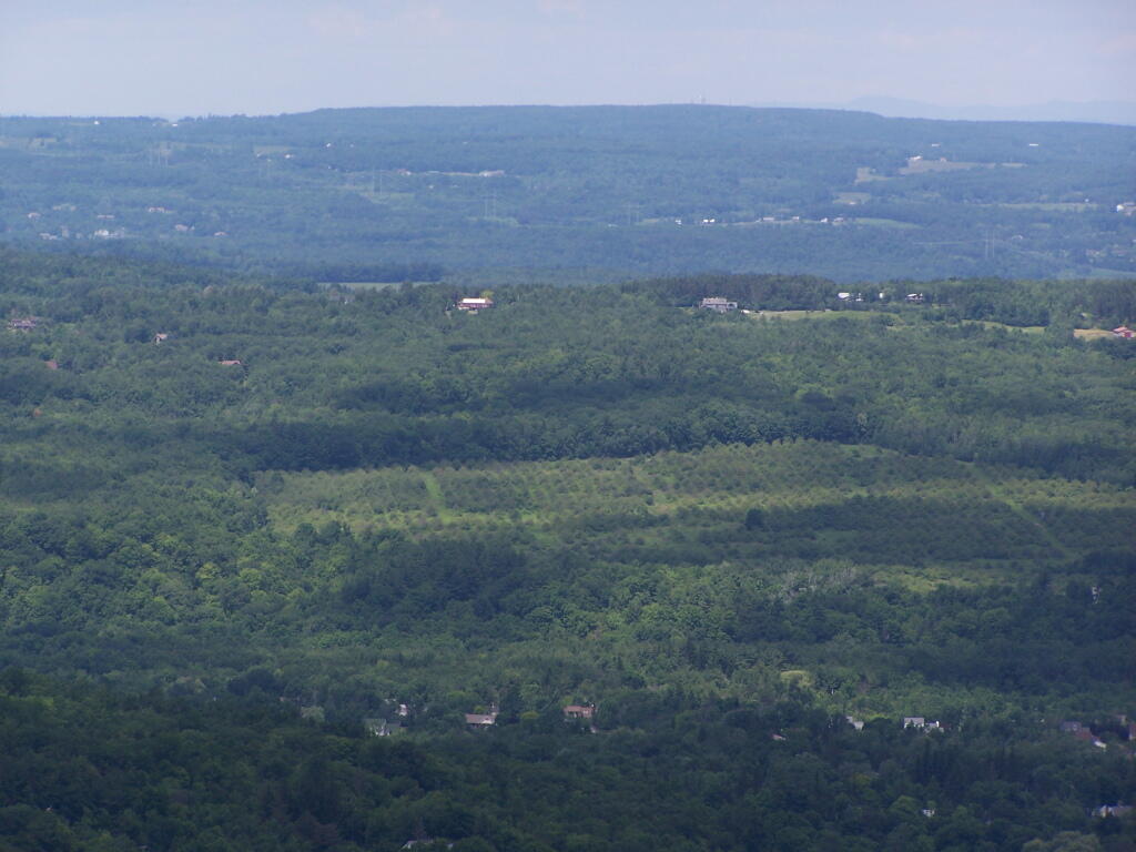 Photo: Settles Hill with Altamont Orchards in Foreground
