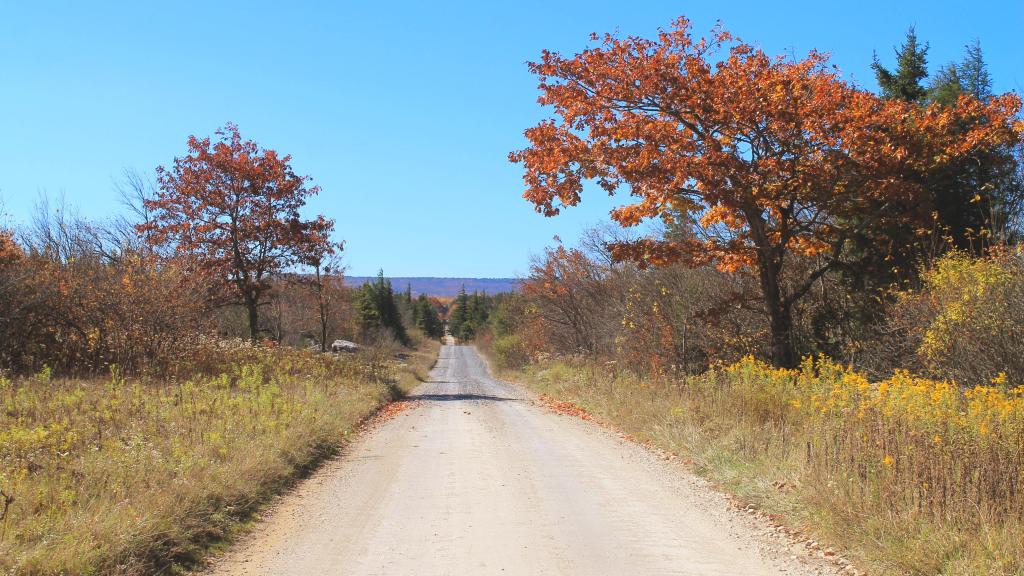 Photo: Dusty Ol' Dolly Sods Road
