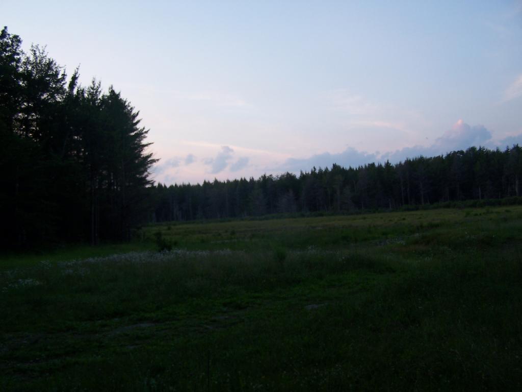 Photo: Duck Pond at Night Photo: Duck Pond at Night