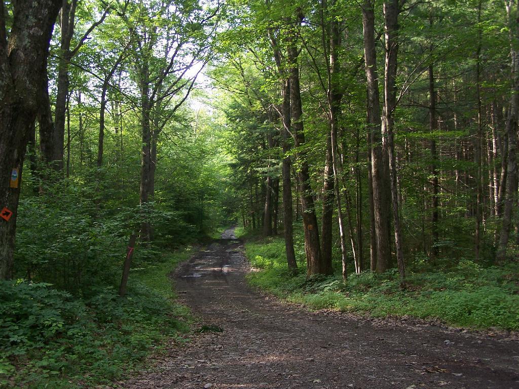 Photo: Rough Lower Section of Burnt Hill Road Photo: Rough Lower Section of Burnt Hill Road
