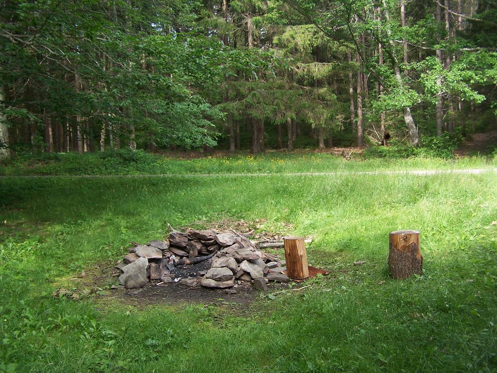 Photo: Campsite at Duck Pond Photo: Campsite at Duck Pond