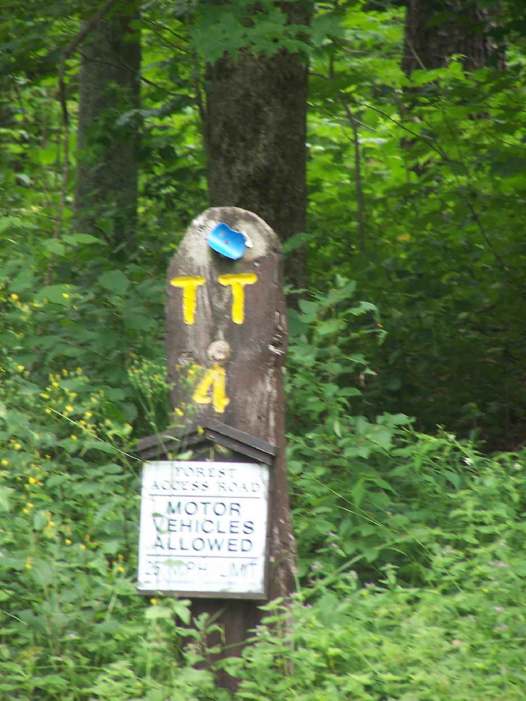 Photo: TT 4 Photo: TT 4