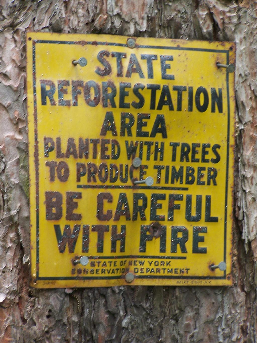 Photo: State Reforestation Area: Be Careful With Fire!
