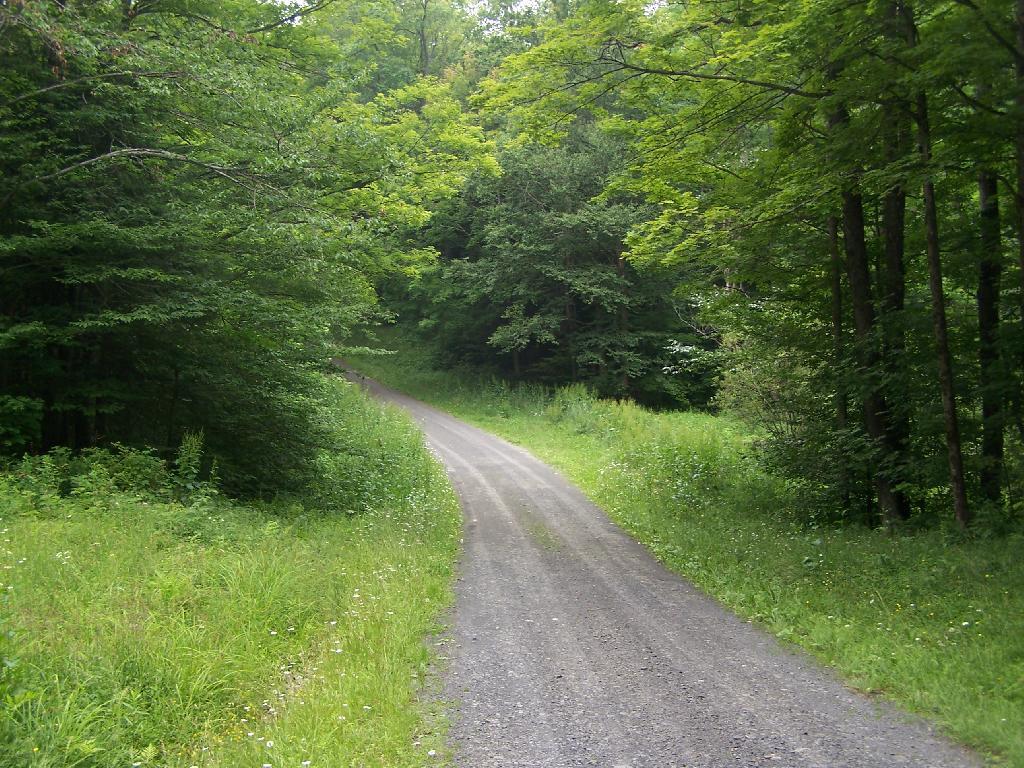 Photo: Truck Trail #6 Photo: Truck Trail #6