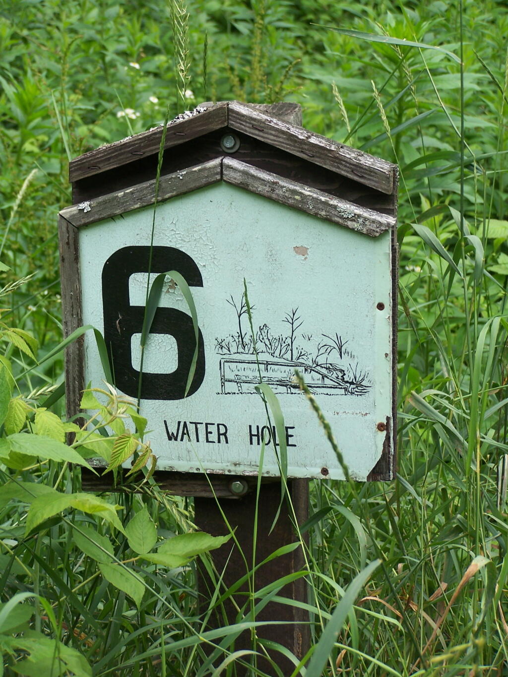 Photo: Stop 6: Waterhole
