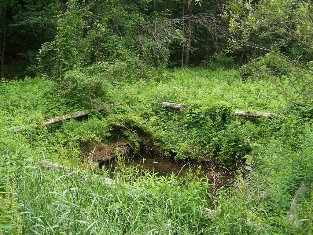 Photo: Dug Waterhole