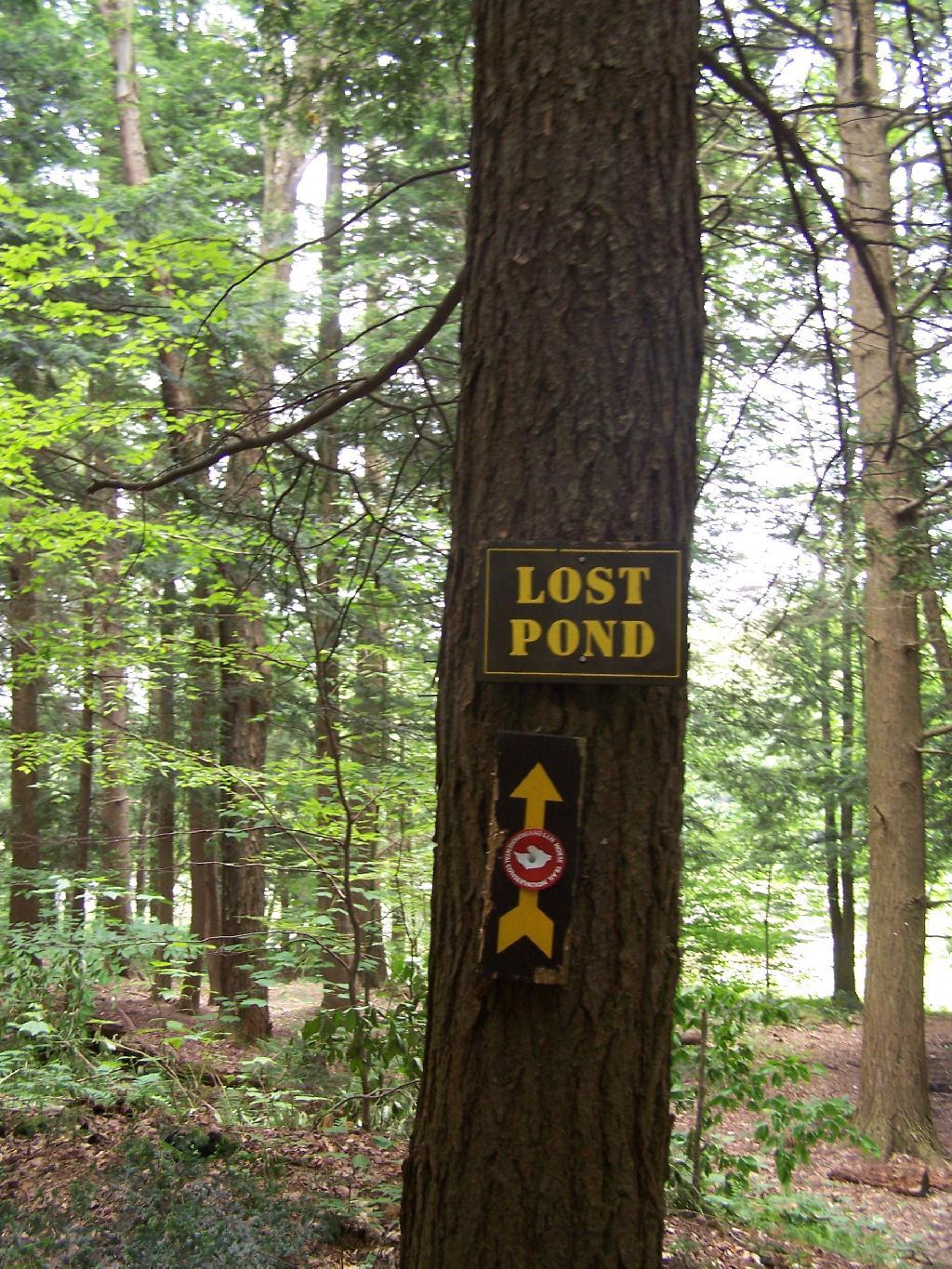 Photo: Lost Pond Sign