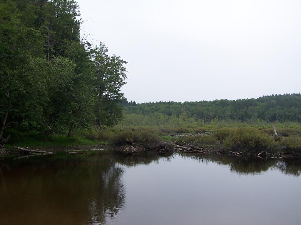 Photo: Lost Pond