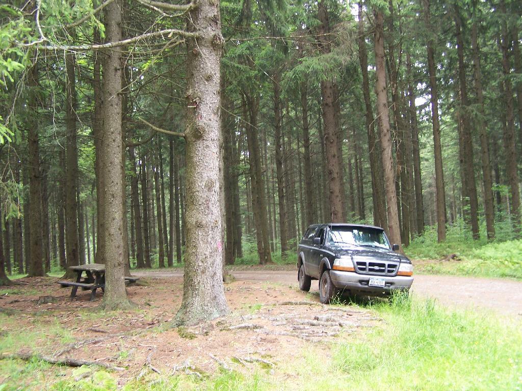 Photo: At Old Firetower Site Photo: At Old Firetower Site